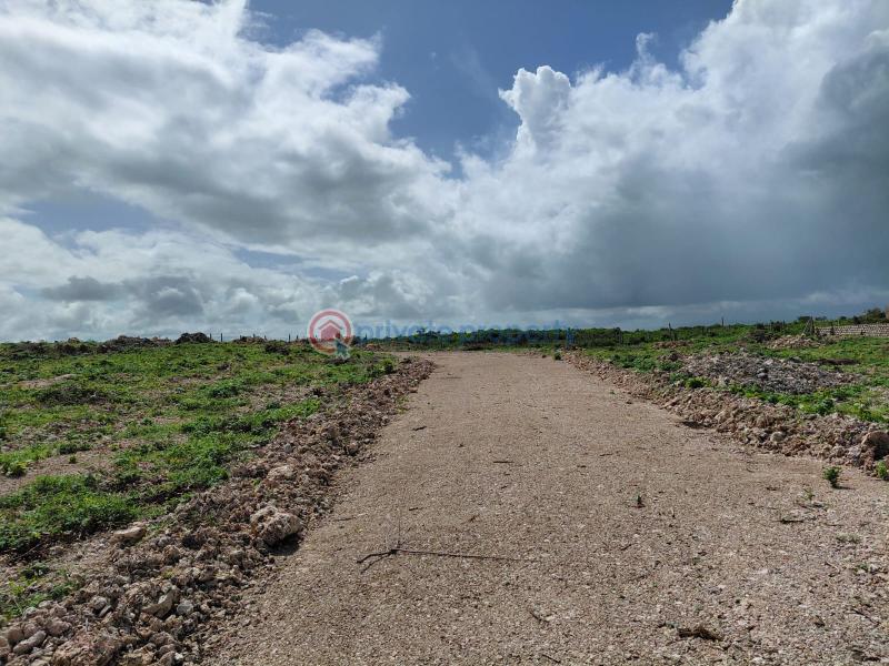 Land For Sale Watamu Ocean Front Ocean Front Watamu Kilifi - 10