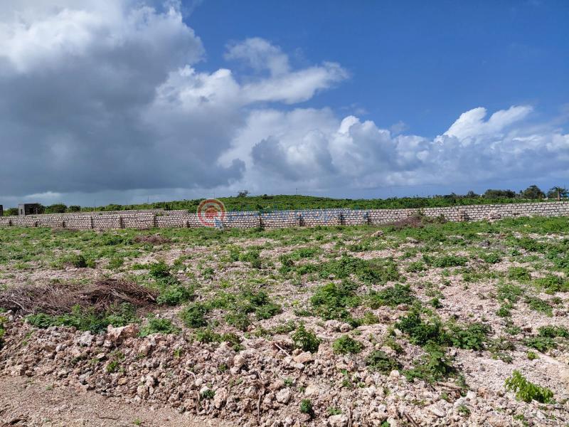 Land For Sale Watamu Jacaranda Beach Jacaranda Beach. Watamu Kilifi - 4