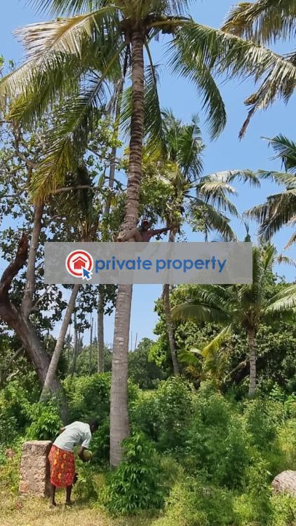 Mixed use Land For Sale &nbsp;sheriani Sokoni Kilifi - 2