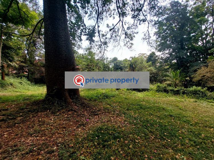 Residential Land For Sale Kileleshwa Nairobi - 3