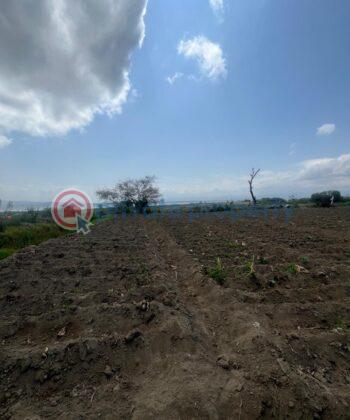 Land For Sale L. Naivasha Naivasha East Nakuru - 0