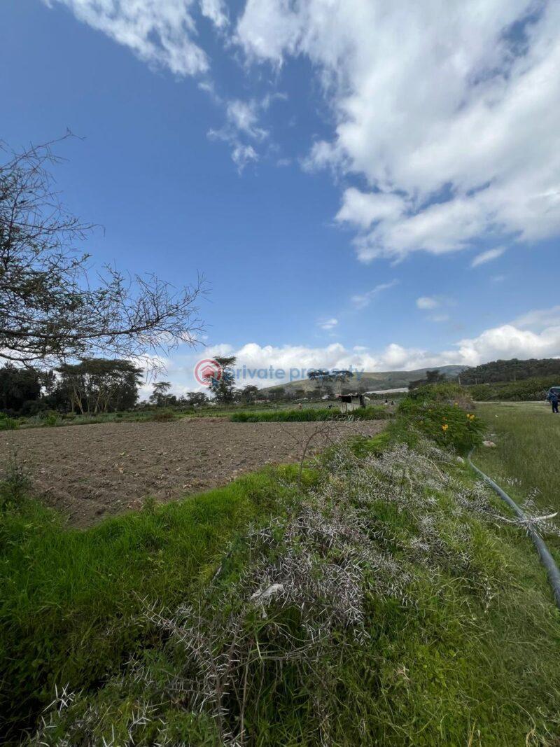 Land For Sale L. Naivasha Naivasha East Nakuru - 0