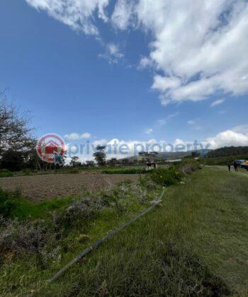 Land For Sale L. Naivasha Naivasha East Nakuru - 1