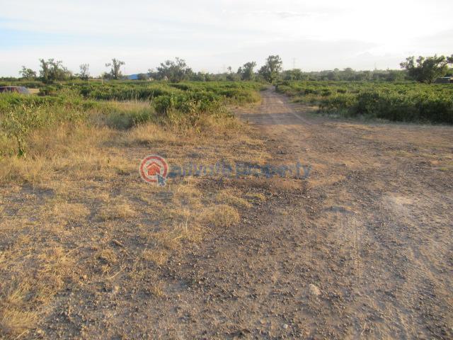Land For Sale Kinangop Rd Naiavsha Naivasha East Nakuru - 3