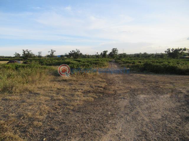Land For Sale Kinangop Rd Naiavsha Naivasha East Nakuru - 1