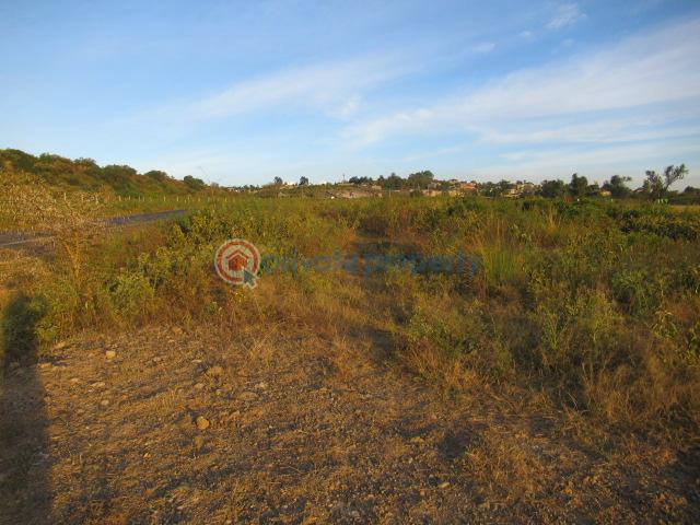 Land For Sale Kinangop Rd Naiavsha Naivasha East Nakuru - 4