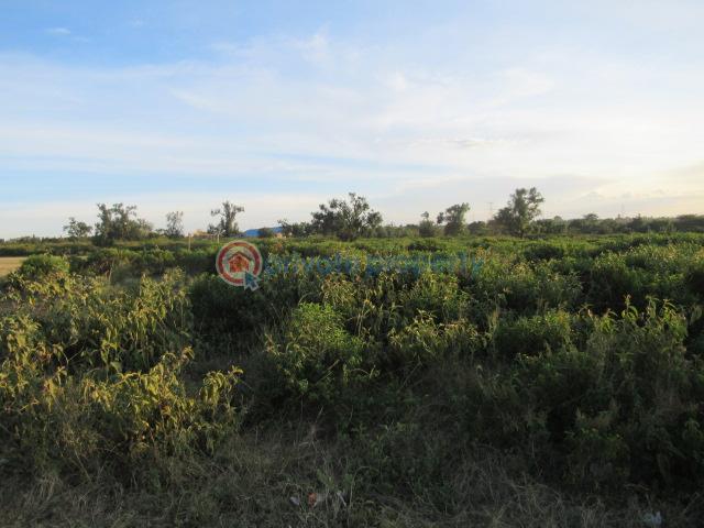 Land For Sale Kinangop Rd Naiavsha Naivasha East Nakuru - 6