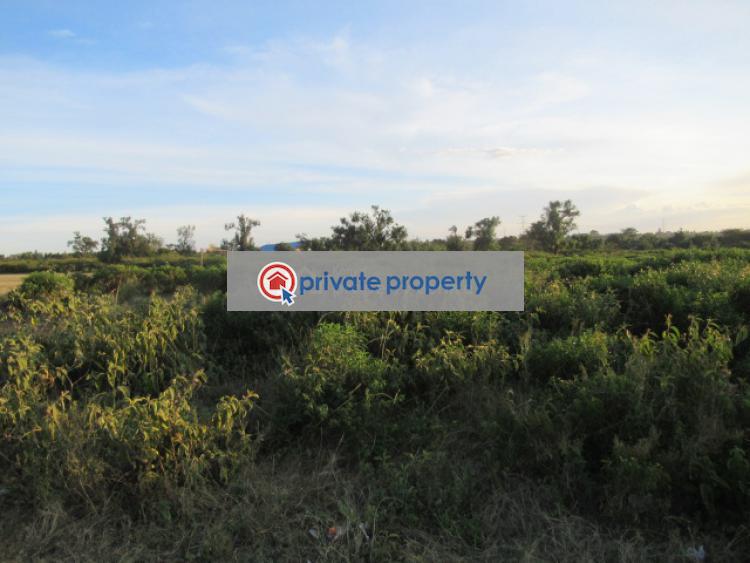 Land For Sale &nbsp;kinangop Rd Naivasha East Nakuru - 9