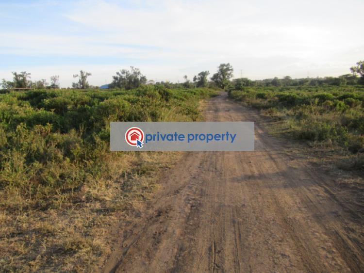Land For Sale &nbsp;kinangop Rd Naivasha East Nakuru - 3