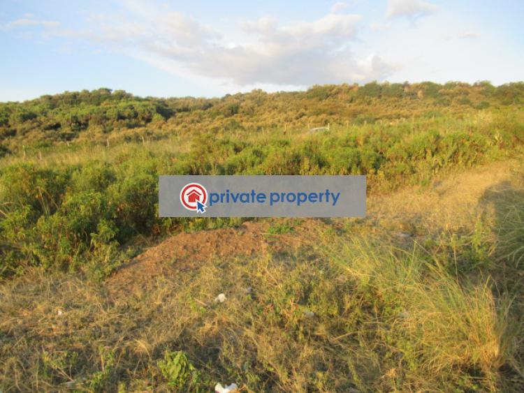 Land For Sale &nbsp;kinangop Rd Naivasha East Nakuru - 11