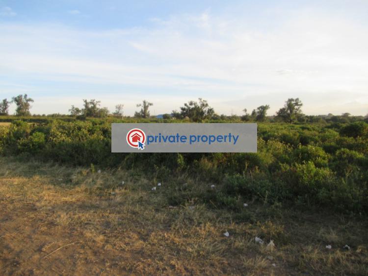 Land For Sale &nbsp;kinangop Rd Naivasha East Nakuru - 8