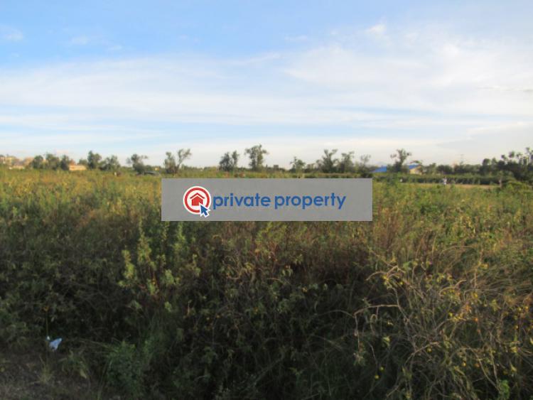 Land For Sale &nbsp;kinangop Rd Naivasha East Nakuru - 6