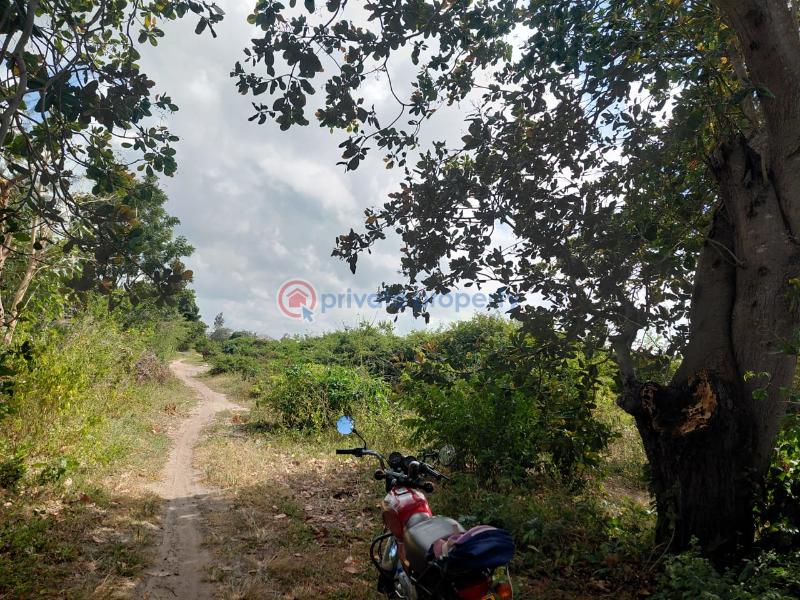 Commercial Land For Sale Watamu, Mijomboni Area Watamu Kilifi - 4