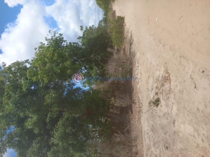 Commercial Land For Sale Watamu, Mijomboni Area Watamu Kilifi - 9