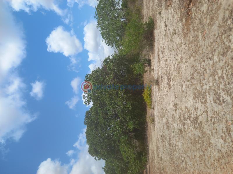 Commercial Land For Sale Watamu, Mijomboni Area Watamu Kilifi - 6