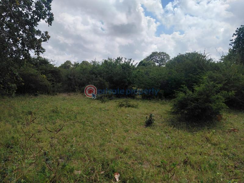 Commercial Land For Sale Watamu, Mijomboni Area Watamu Kilifi - 2