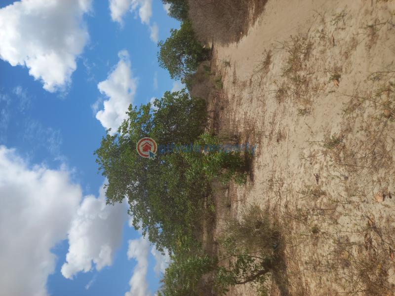 Commercial Land For Sale Watamu, Mijomboni Area Watamu Kilifi - 11