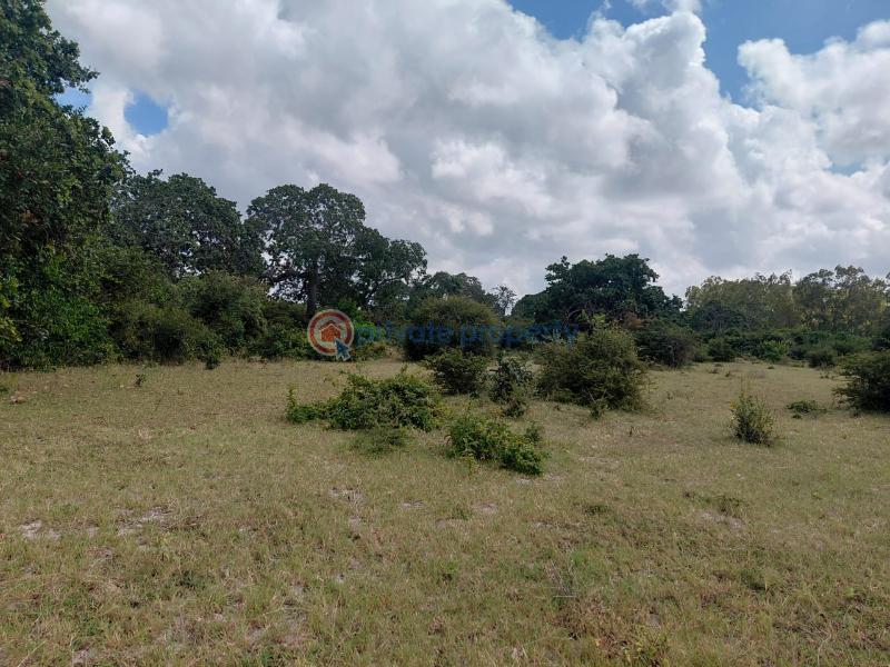 Commercial Land For Sale Watamu, Mijomboni Area Watamu Kilifi - 1