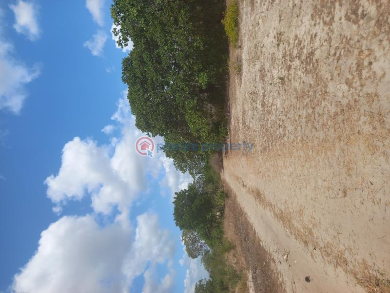 Commercial Land For Sale Watamu, Mijomboni Area Watamu Kilifi - 5