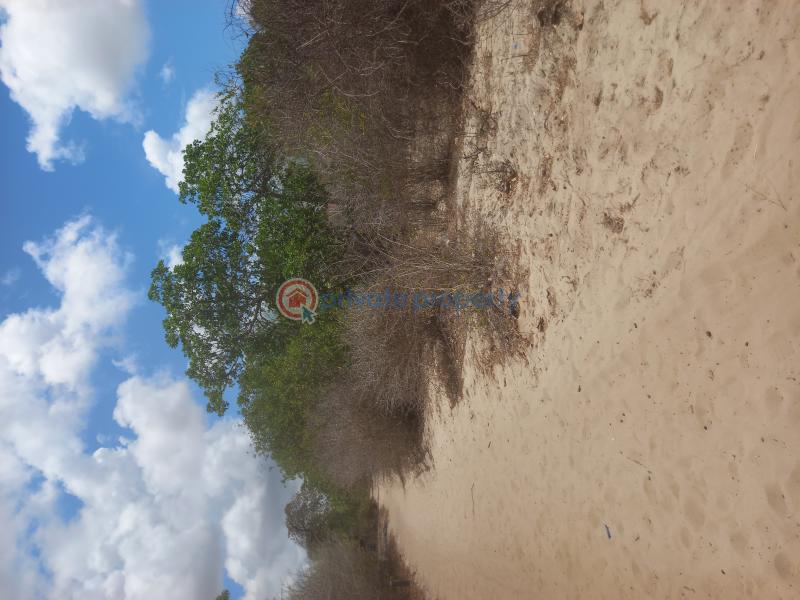 Commercial Land For Sale Watamu, Mijomboni Area Watamu Kilifi - 8