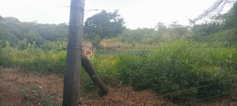Land For Sale 16 Acres For Sale – Likii, Nanyuki Nanyuki Laikipia - 0