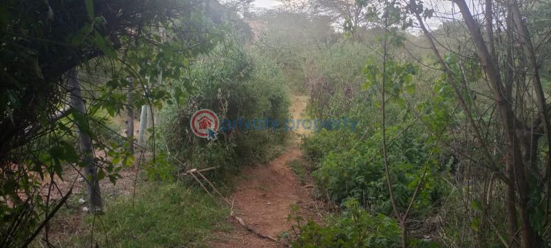 Land For Sale 16 Acres For Sale – Likii, Nanyuki Nanyuki Laikipia - 2