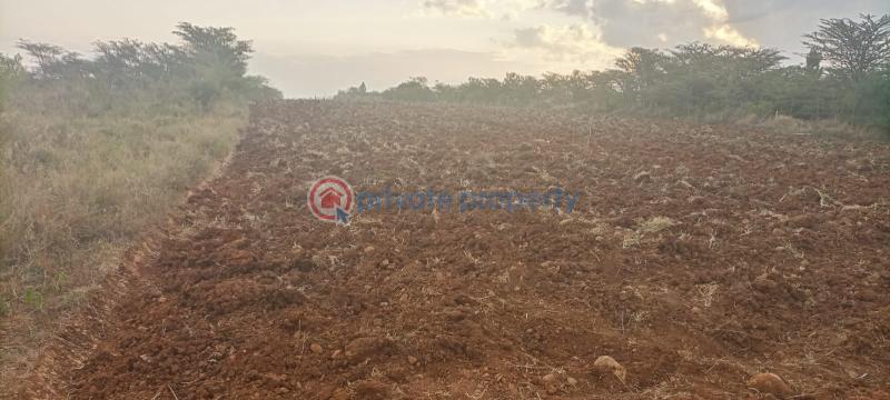 Land For Sale 16 Acres For Sale – Likii, Nanyuki Nanyuki Laikipia - 5