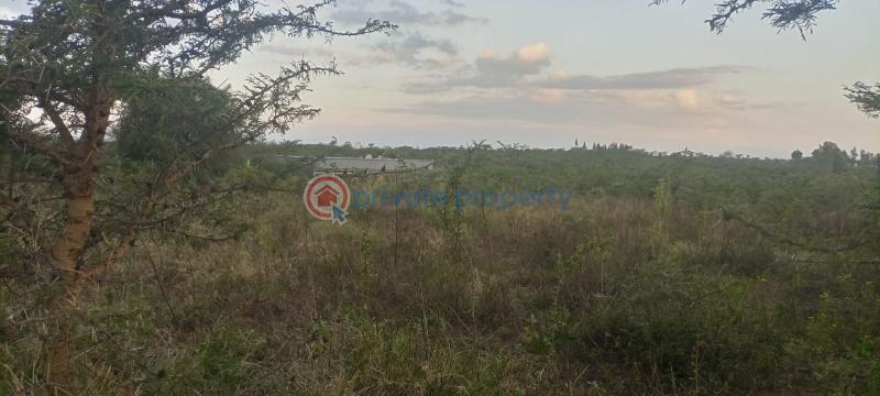 Land For Sale 16 Acres For Sale – Likii, Nanyuki Nanyuki Laikipia - 4