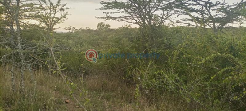 Land For Sale 16 Acres For Sale – Likii, Nanyuki Nanyuki Laikipia - 3
