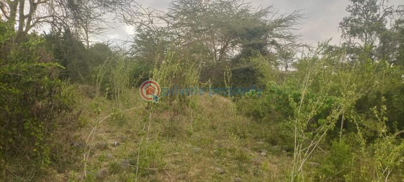 Land For Sale 16 Acres For Sale – Likii, Nanyuki Nanyuki Laikipia - 1