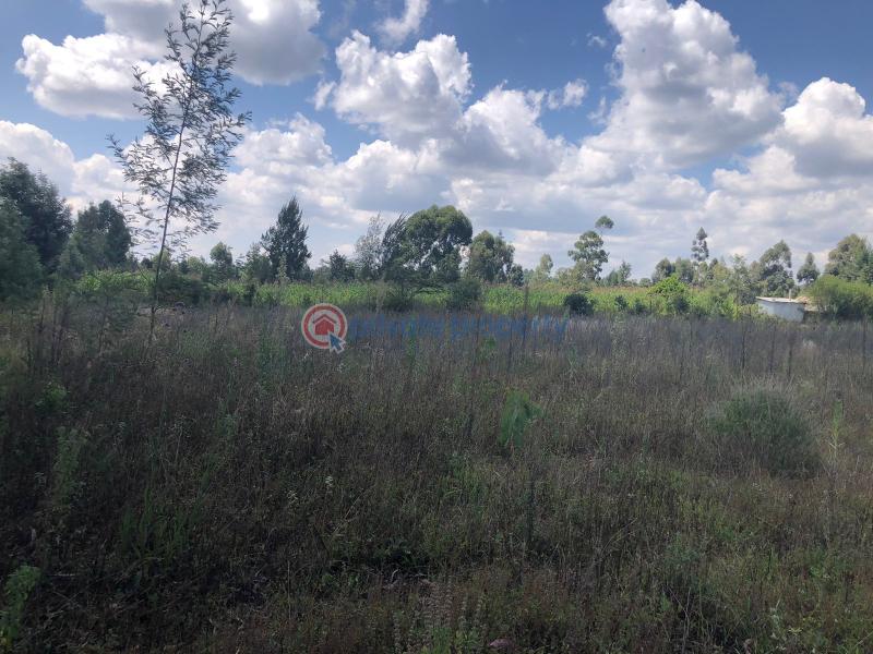 Residential Land For Sale Juakali Road, Nanyuki Nanyuki Laikipia - 1