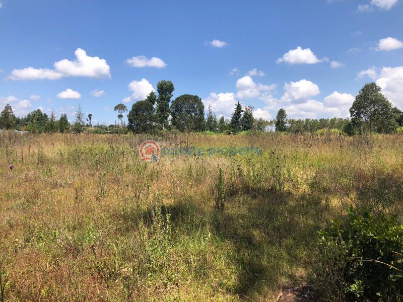 Residential Land For Sale Juakali Road, Nanyuki Nanyuki Laikipia - 3