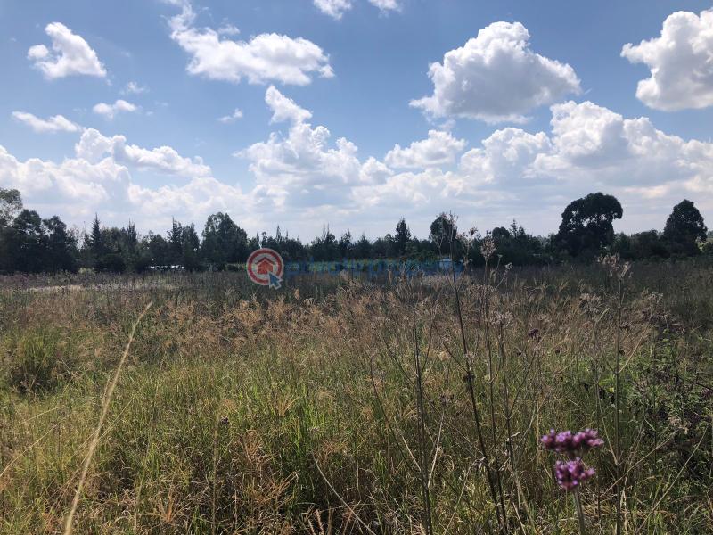 Residential Land For Sale Juakali Road, Nanyuki Nanyuki Laikipia - 4