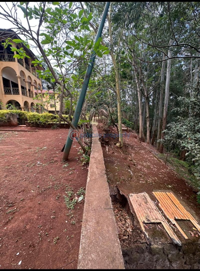Land For Sale Spring Valley Nairobi - 2