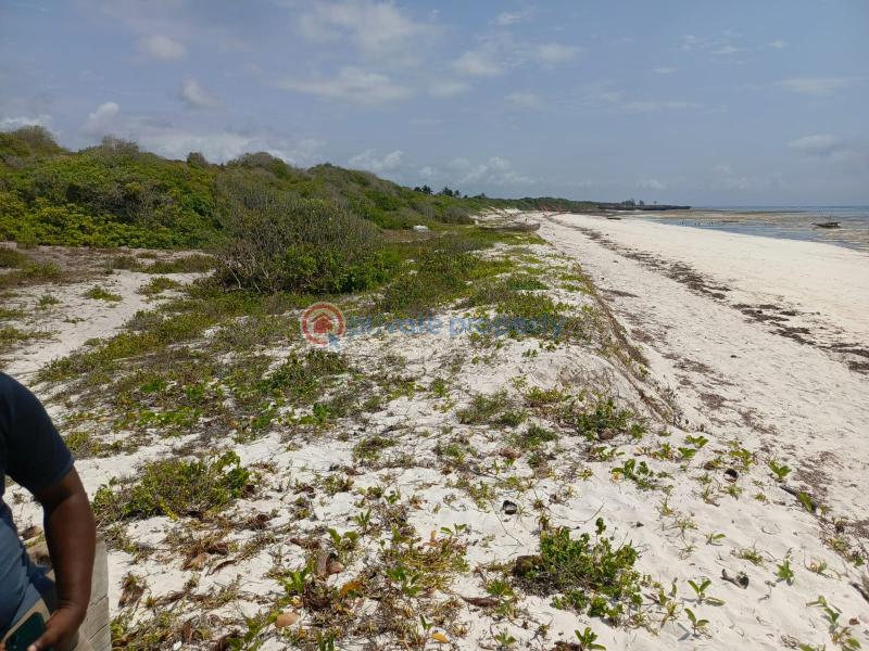 Land For Sale Kilifi, Chumani Area Matsangoni Kilifi - 7