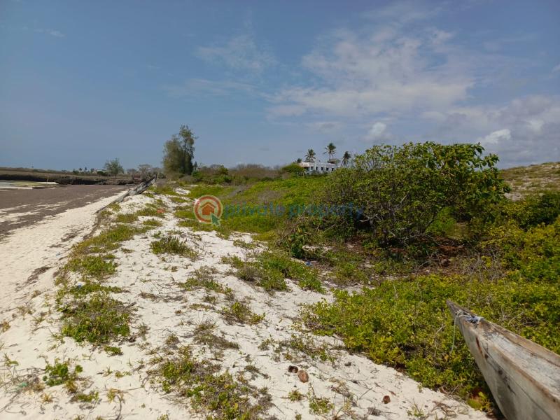 Land For Sale Kilifi, Chumani Area Matsangoni Kilifi - 3
