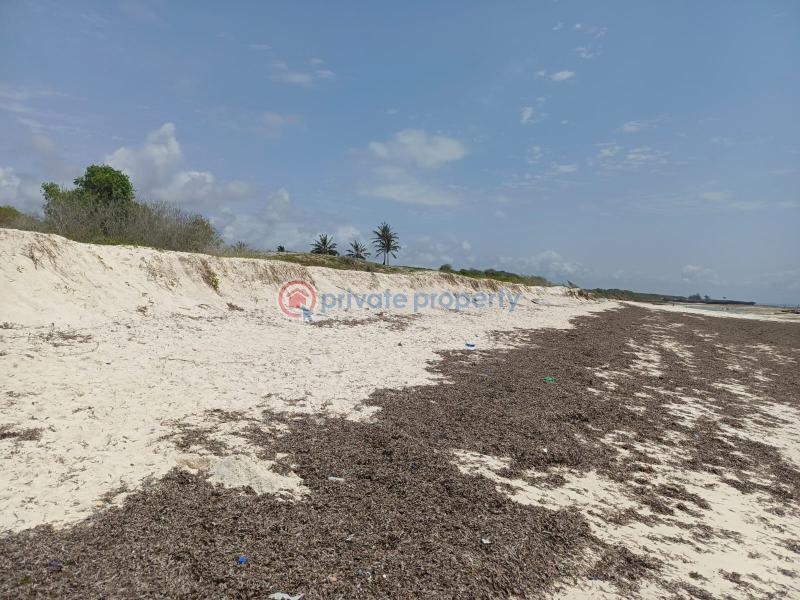 Land For Sale Kilifi, Chumani Area Matsangoni Kilifi - 4