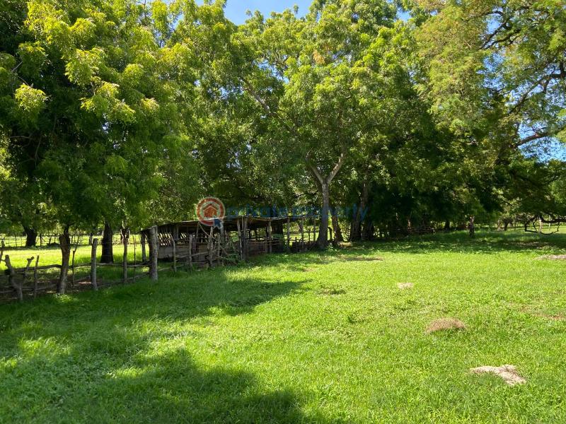 Land For Sale Kuruwitu Beach Shimo La Tewa Kilifi - 11