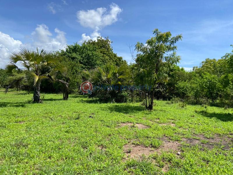 Land For Sale Kuruwitu Beach Shimo La Tewa Kilifi - 6
