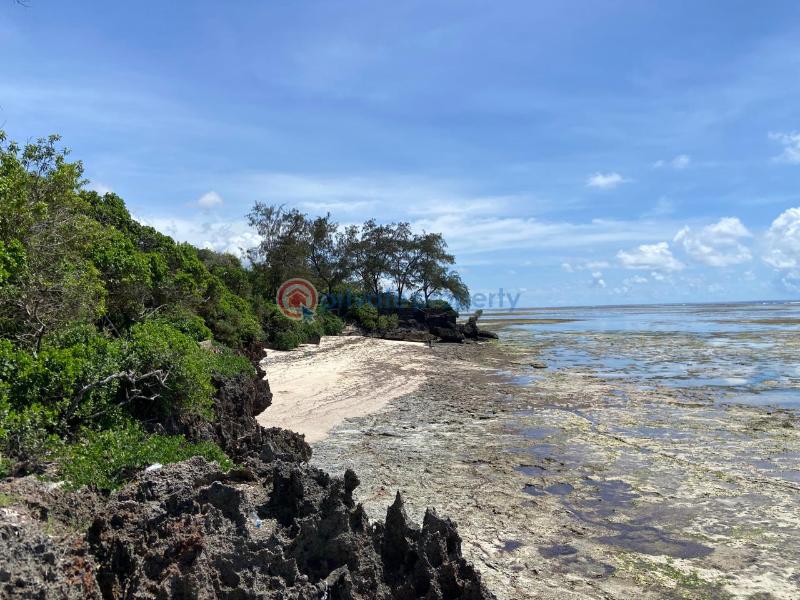 Land For Sale Kuruwitu Beach Shimo La Tewa Kilifi - 2