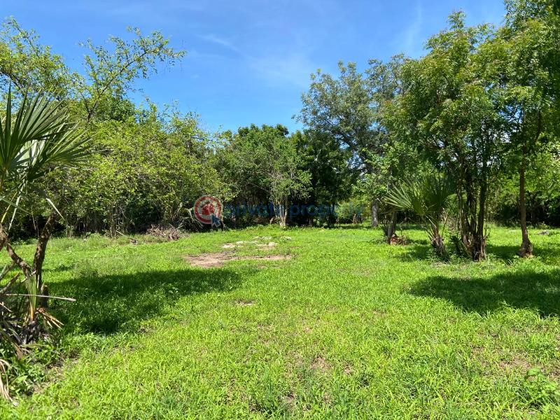 Land For Sale Kuruwitu Beach Shimo La Tewa Kilifi - 7