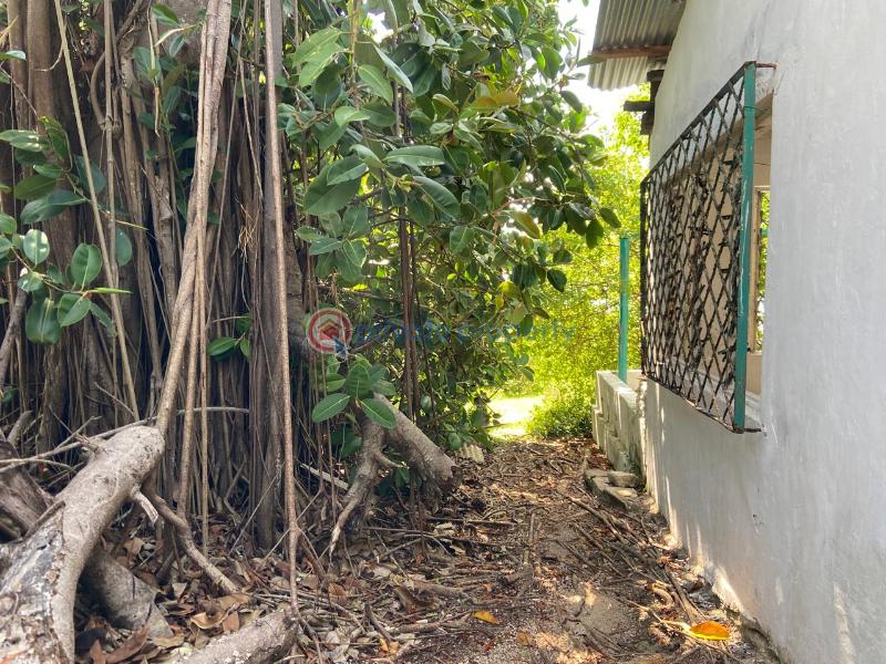 Land For Sale Kuruwitu Beach Shimo La Tewa Kilifi - 1