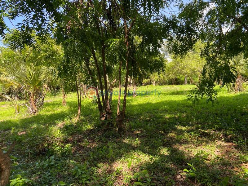 Land For Sale Kuruwitu Beach Shimo La Tewa Kilifi - 8