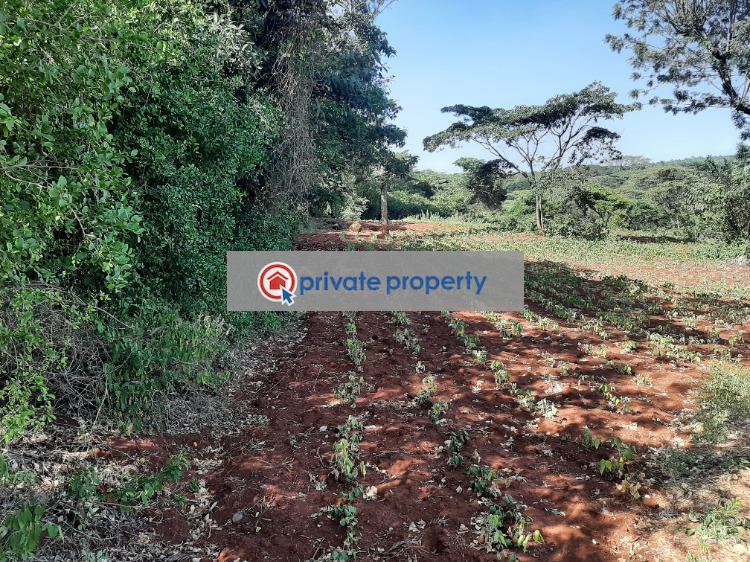 Land For Sale kerarapon Drive Ngong Kajiado (PID 6PABEH) Private