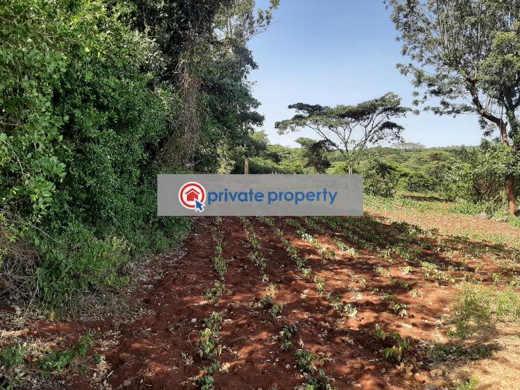 Land For Sale kerarapon Drive Ngong Kajiado (PID 6PABEH) Private