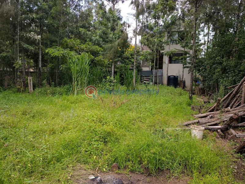 Land For Sale Kerarapon. Ngong Kajiado - 1