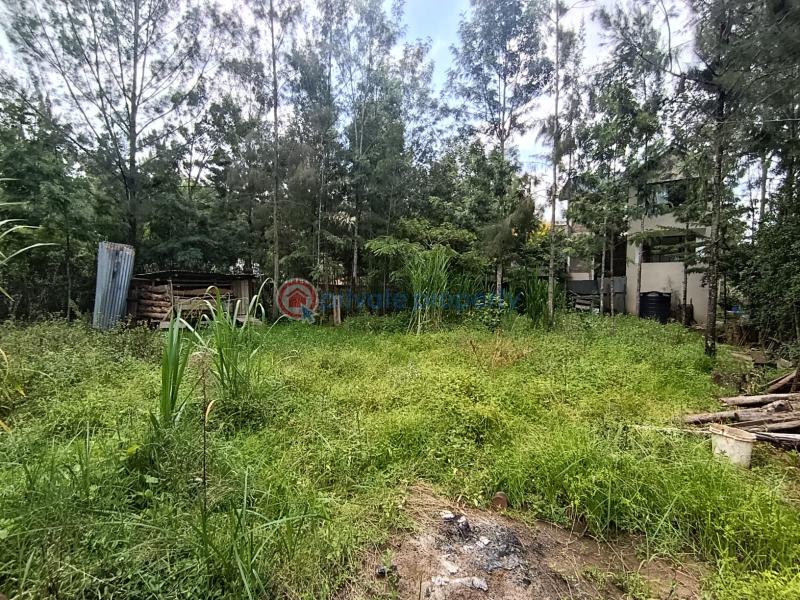 Land For Sale Kerarapon. Ngong Kajiado - 3