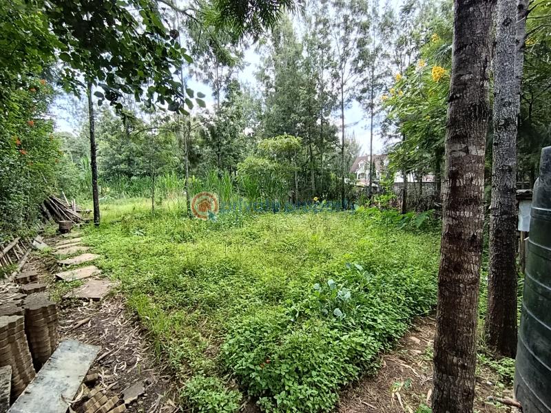 Land For Sale Kerarapon. Ngong Kajiado - 2