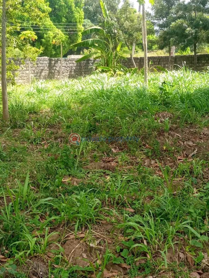 Land For Sale Mtwapa,mombasa Coast Mtwapa Kilifi - 13