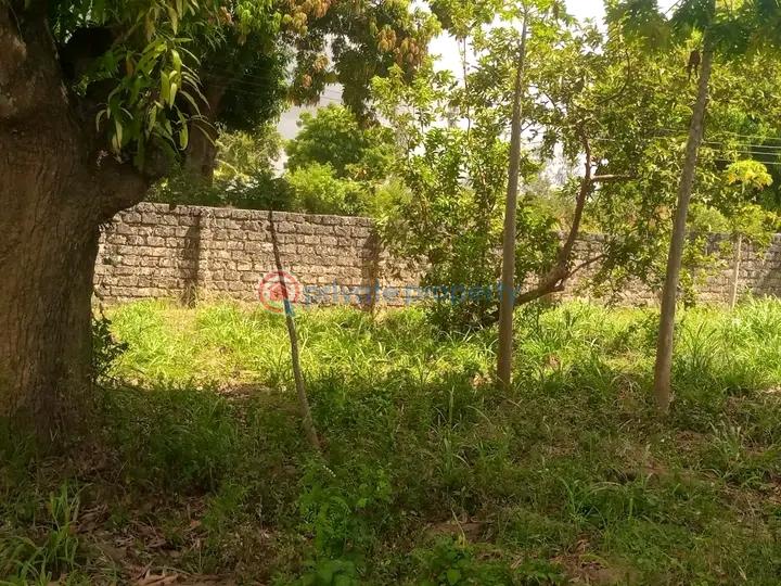 Land For Sale Mtwapa,mombasa Coast Mtwapa Kilifi - 4